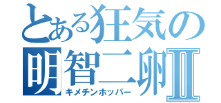 とある狂気の明智二卵性双生児Ⅱ（キメチンホッパー）