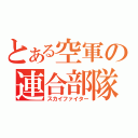 とある空軍の連合部隊（スカイファイター）