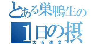 とある巣鴨生の１日の摂取カロリー（太る速度）