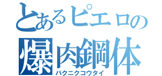 とあるピエロの爆肉鋼体（バクニクコウタイ）