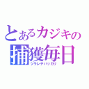 とあるカジキの捕獲毎日（ツラレテバッカリ）