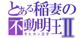 とある稲妻の不動明王Ⅱ（モヒカン王子）