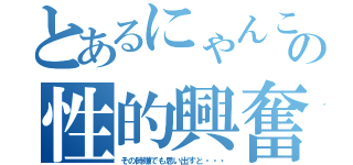 とあるにゃんこの性的興奮（その時嫌でも思い出すと・・・）