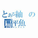 とある紬の扁平魚（マンヴォウ）