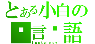 とある小白の貓言貓語（ｌｕｃｋｃｉｎｄｙ~）