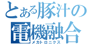 とある豚汁の電機融合（メカトロニクス）