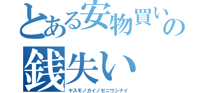 とある安物買いのの銭失い（ヤスモノガイノゼニウシナイ）