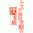 とある独国警察の閃光盾（ブリッツ）