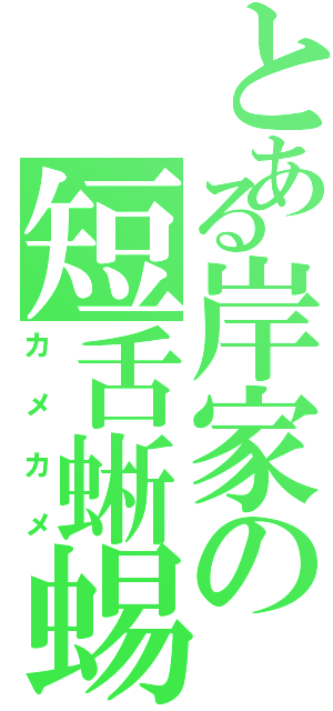 とある岸家の短舌蜥蜴（カメカメ）