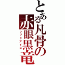 とある凡骨の赤眼黒竜（レッドアイズ）