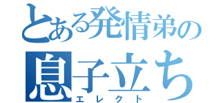 とある発情弟の息子立ち（エレクト）