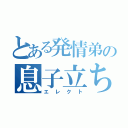 とある発情弟の息子立ち（エレクト）