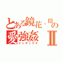 とある鏡花、隱纏の愛強姦Ⅱ（インデックス）