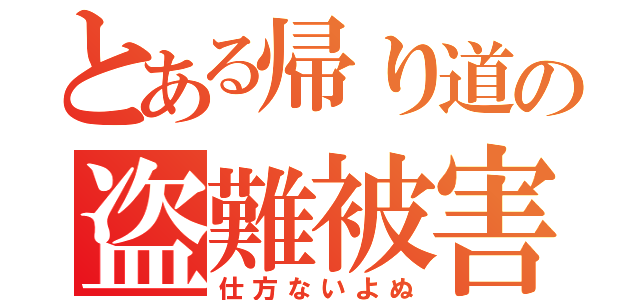 とある帰り道の盗難被害（仕方ないよぬ）