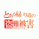 とある帰り道の盗難被害（仕方ないよぬ）