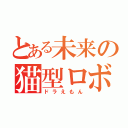 とある未来の猫型ロボ（ドラえもん）