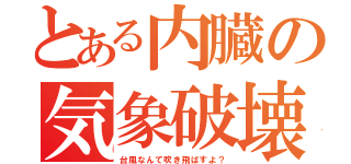 とある内臓の気象破壊（台風なんて吹き飛ばすよ？）