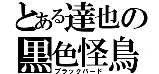 とある達也の黒色怪鳥（ブラックバード）