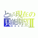 とある現在の只能期望Ⅱ（順其自然）