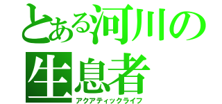 とある河川の生息者（アクアティックライフ）