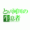 とある河川の生息者（アクアティックライフ）