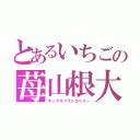 とあるいちごの苺山根大（キングオブストロベリー）