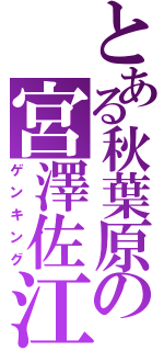 とある秋葉原の宮澤佐江（ゲンキング）