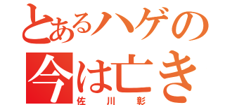 とあるハゲの今は亡き人（佐川彰）