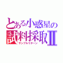 とある小惑星の試料採取Ⅱ（サンプルリターン）