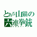 とある山猫の六連拳銃（リボルバー）