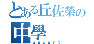 とある丘佐榮の中學（Ｓｅｃｅｒｔ）