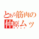 とある筋肉の仲原ムッキムキ（ガチムチ）