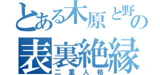 とある木原と野原の表裏絶縁（二重人格）