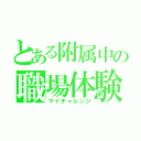 とある附属中の職場体験（マイチャレンジ）