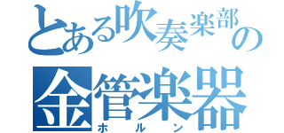 とある吹奏楽部の金管楽器（ホルン）