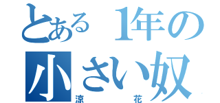 とある１年の小さい奴（涼花）