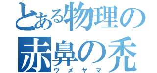 とある物理の赤鼻の禿げ（ウメヤマ）