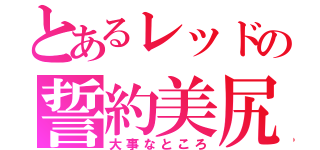 とあるレッドの誓約美尻（大事なところ）