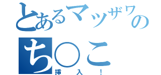 とあるマツザワカイトののち〇こ（挿入！）