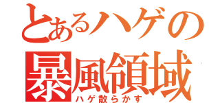 とあるハゲの暴風領域（ハゲ散らかす）