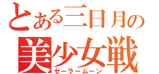 とある三日月の美少女戦士（セーラームーン）