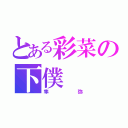 とある彩菜の下僕（隼弥）