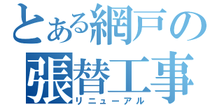 とある網戸の張替工事（リニューアル）