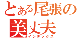 とある尾張の美丈夫（インデックス）