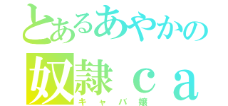 とあるあやかの奴隷ｃａｓ主（キャバ嬢）