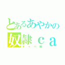 とあるあやかの奴隷ｃａｓ主（キャバ嬢）