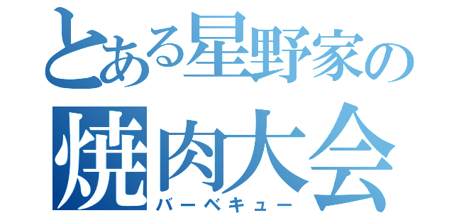 とある星野家の焼肉大会（バーベキュー）