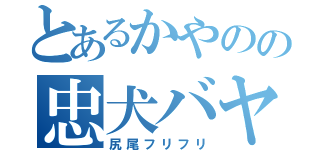 とあるかやのの忠犬バヤシ（尻尾フリフリ）