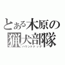 とある木原の猟犬部隊（ハウンドドッグ）