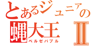 とあるジュニアの蝿大王Ⅱ（ベルゼバブル）